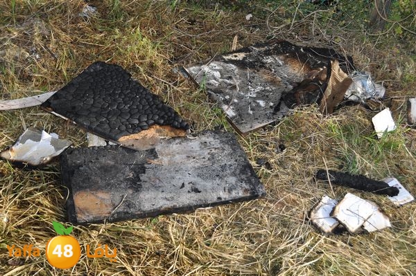 fireinludwens313 (38).JPG